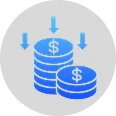 Cost-Efficiency